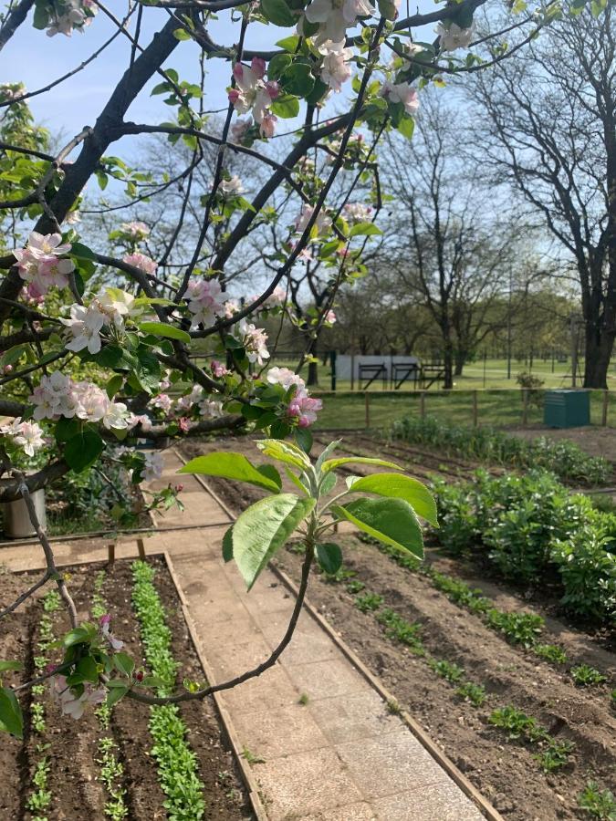 Cascina Bellaria Vandrehjem Milano Eksteriør billede