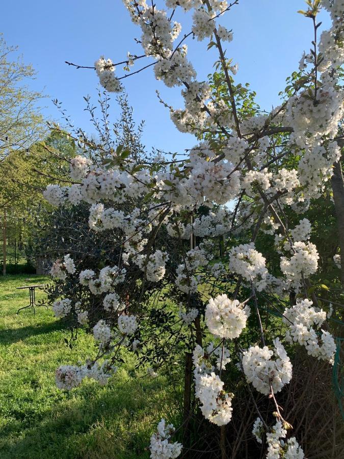 Cascina Bellaria Vandrehjem Milano Eksteriør billede